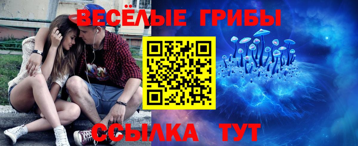 Псилоцибиновые грибы ЛСД  Вход с VPN  Псилоцибиновые грибы мицелий  дарнет шоп  Троицк 